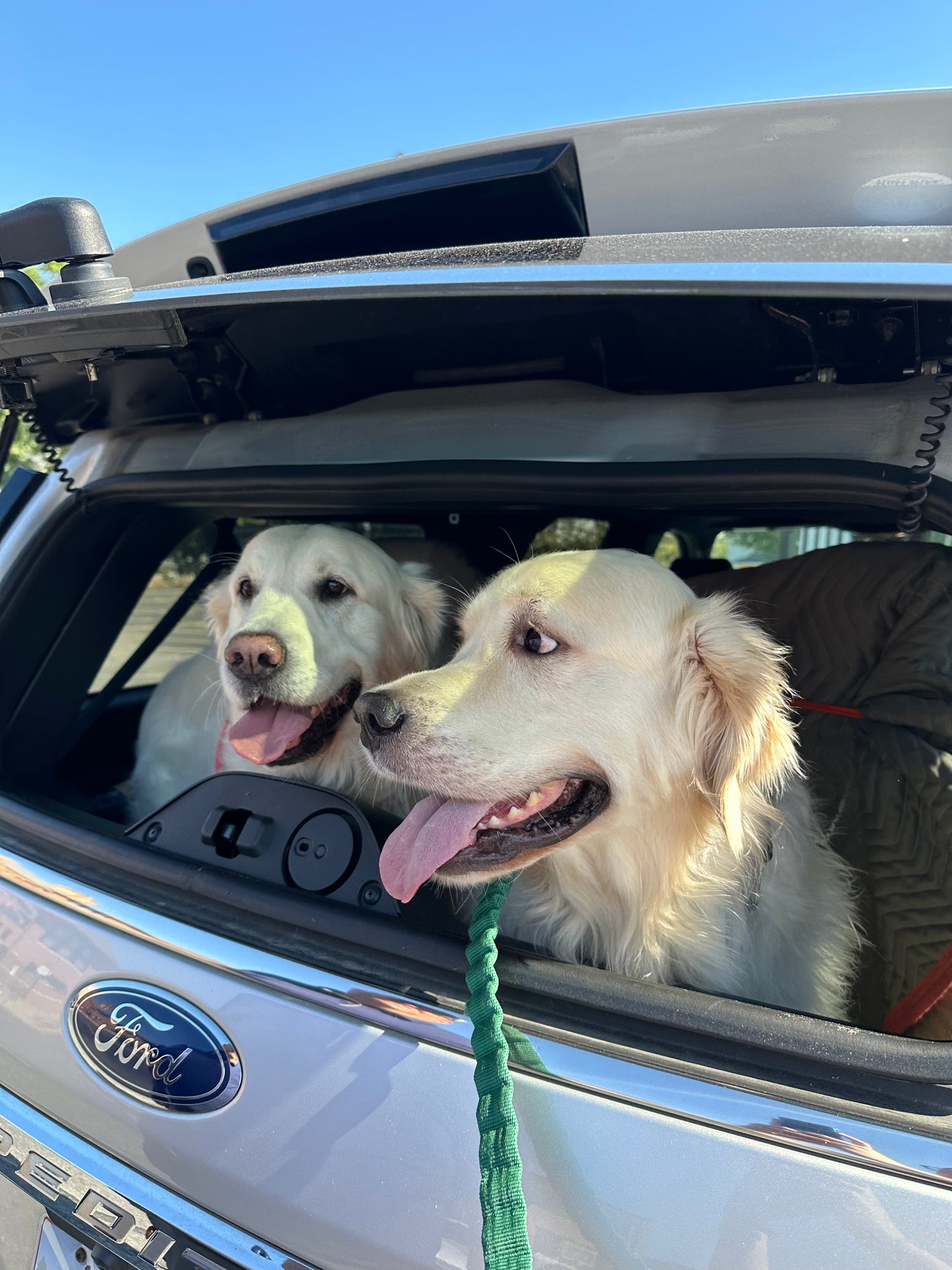 Fluff Bros Cheddar Crunch – Natural Cheese Dog Treats