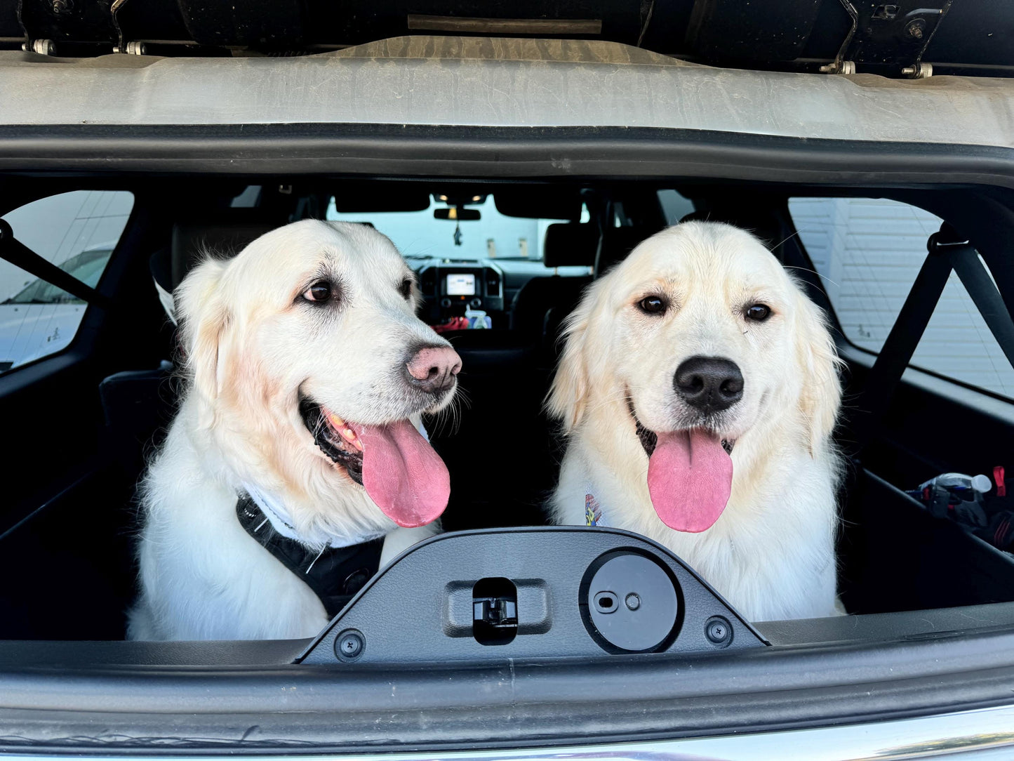 Fluff Bros Cranberry Crunch Natural Cranberry Dog Treats