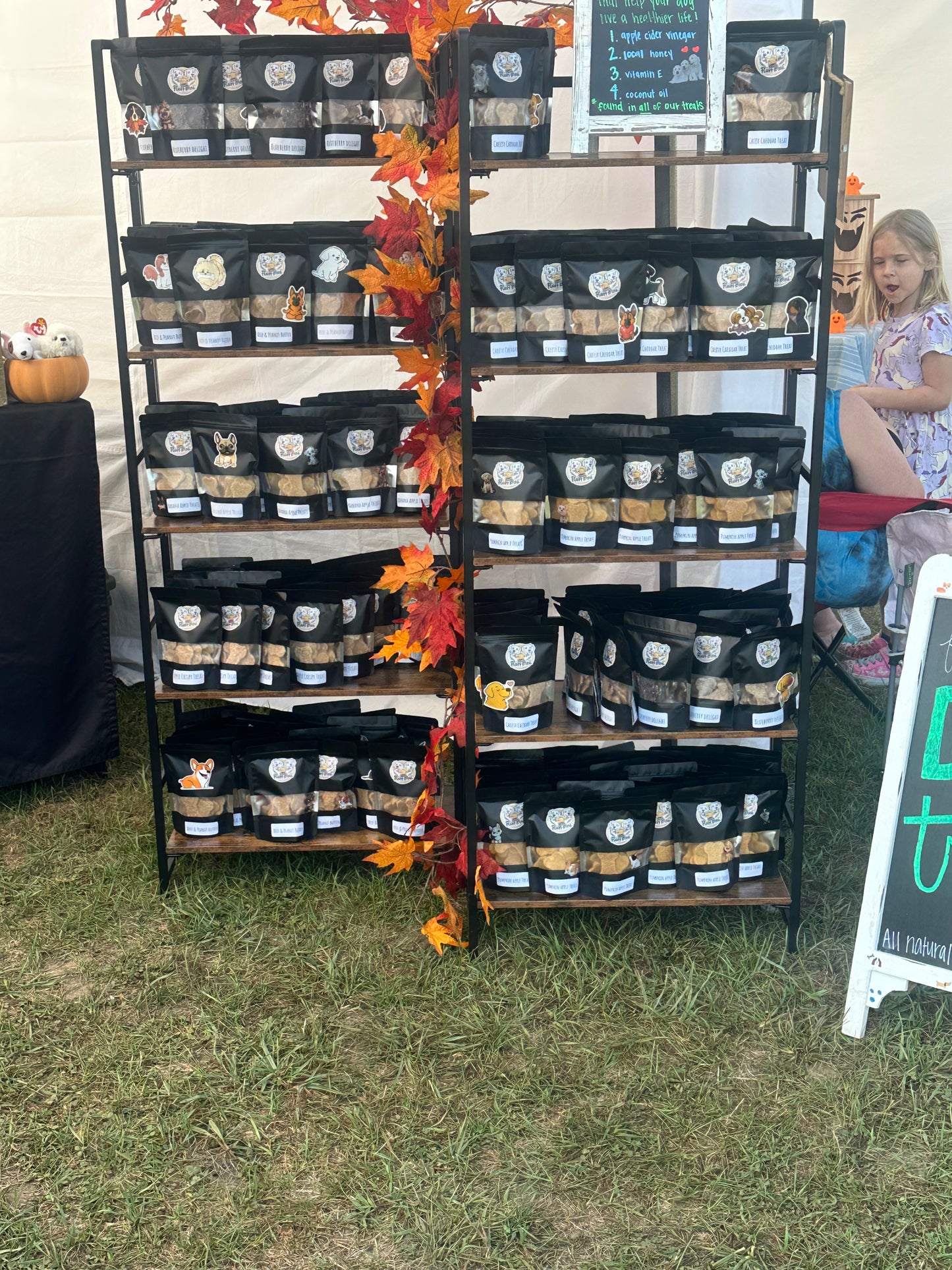 Fluff Bros Beef & Peanut Butter Crunch – Natural Canine Cookies