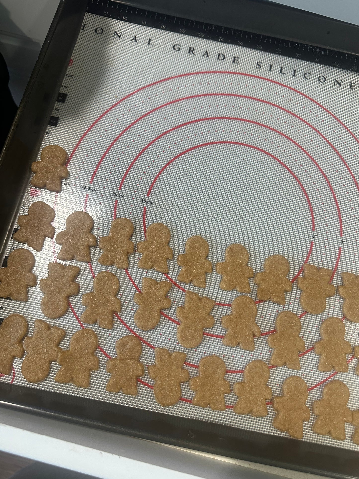Fluff Bros Gingerbread Crunch Natural  Dog Treats
