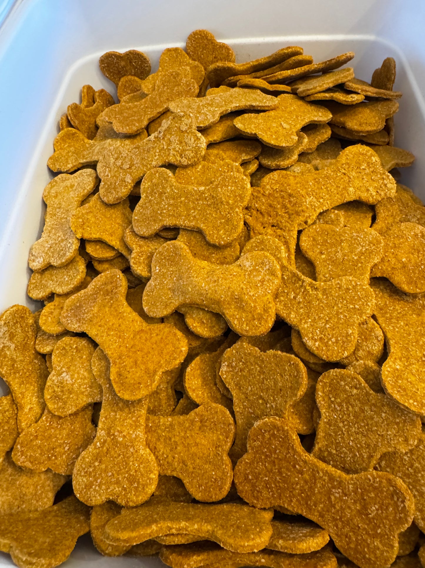 Fluff Bros Pumpkin Apple Crunch  Natural Pumpkin Dog Treats