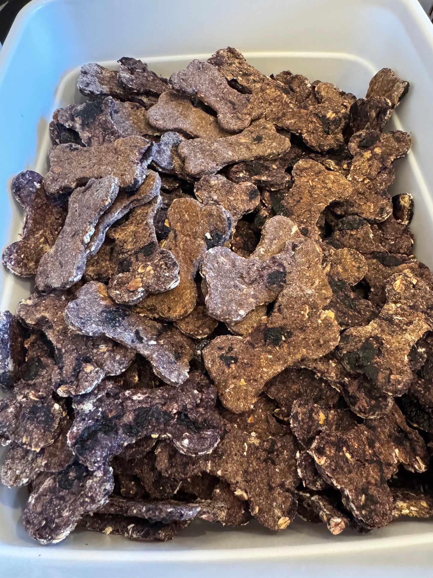 Blueberry Delight Crunchy Canine Cookie