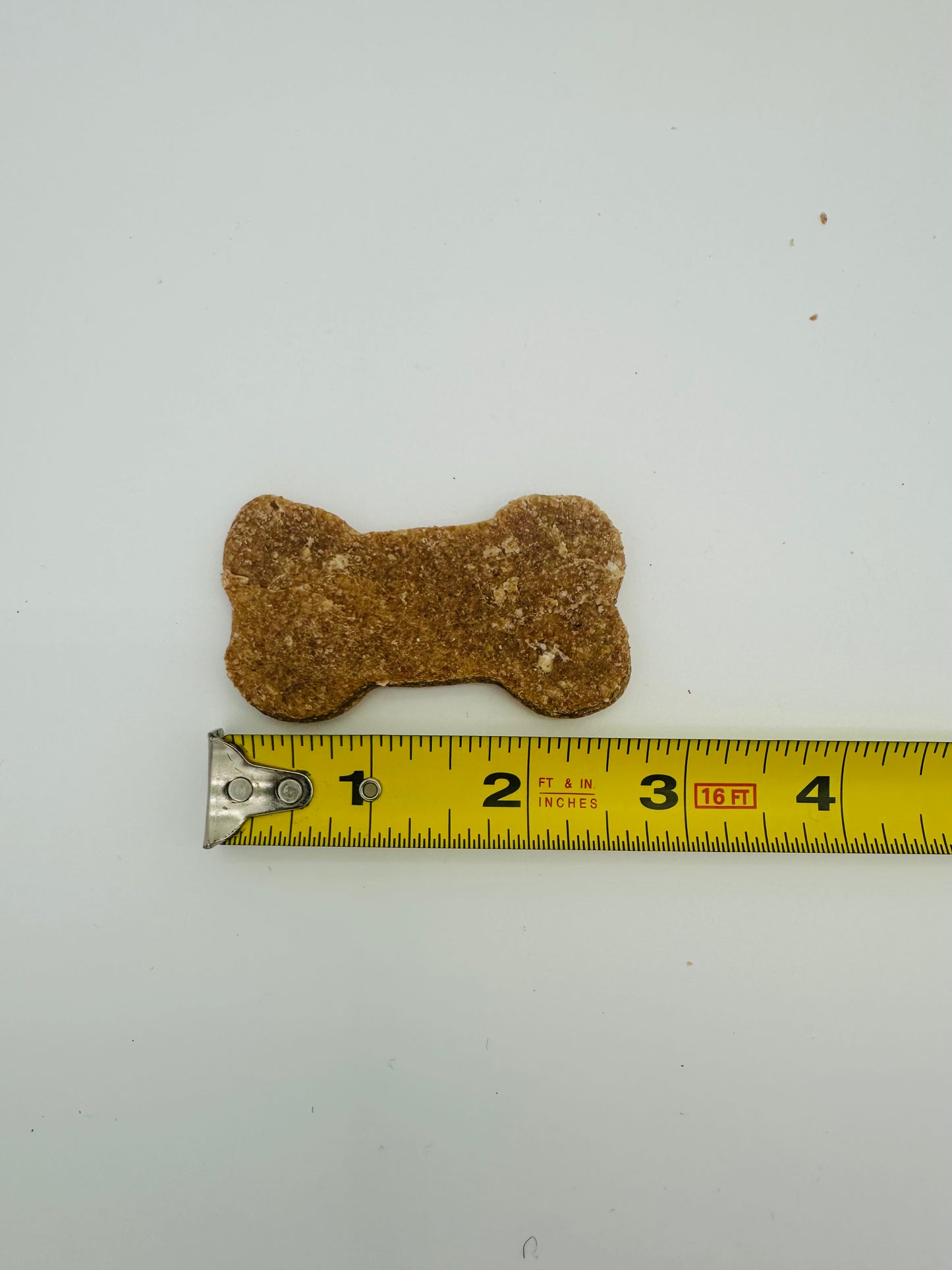 Blueberry Delight Crunchy Canine Cookie