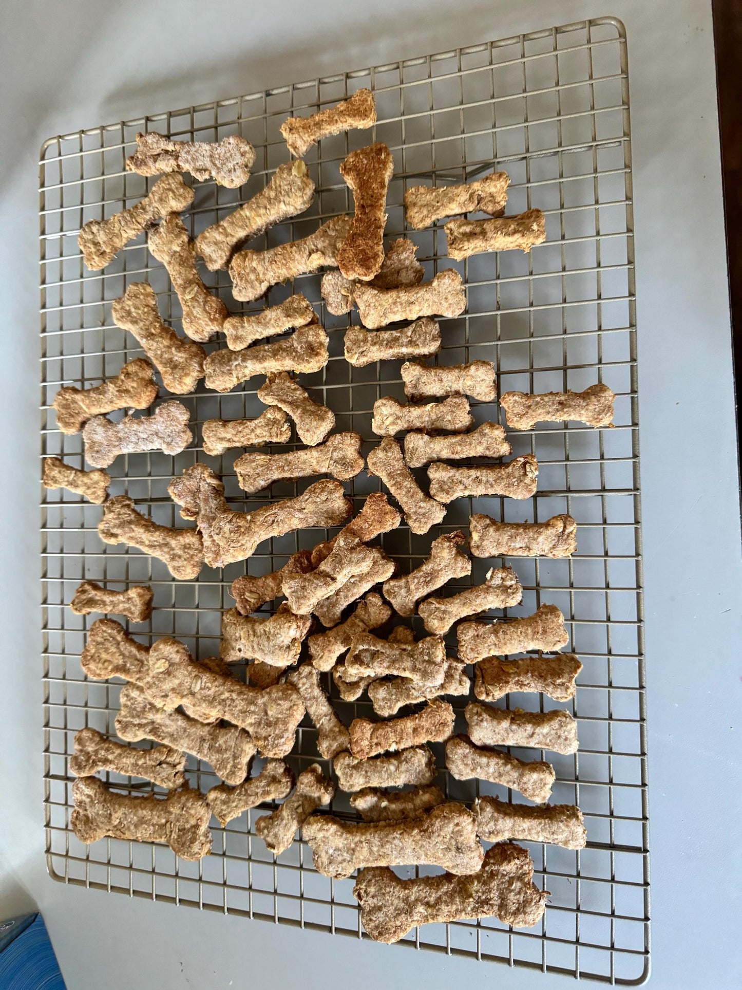 All Natural Homemade Apple Crisp Recipe Crunchy Canine Cookie Dog Treats